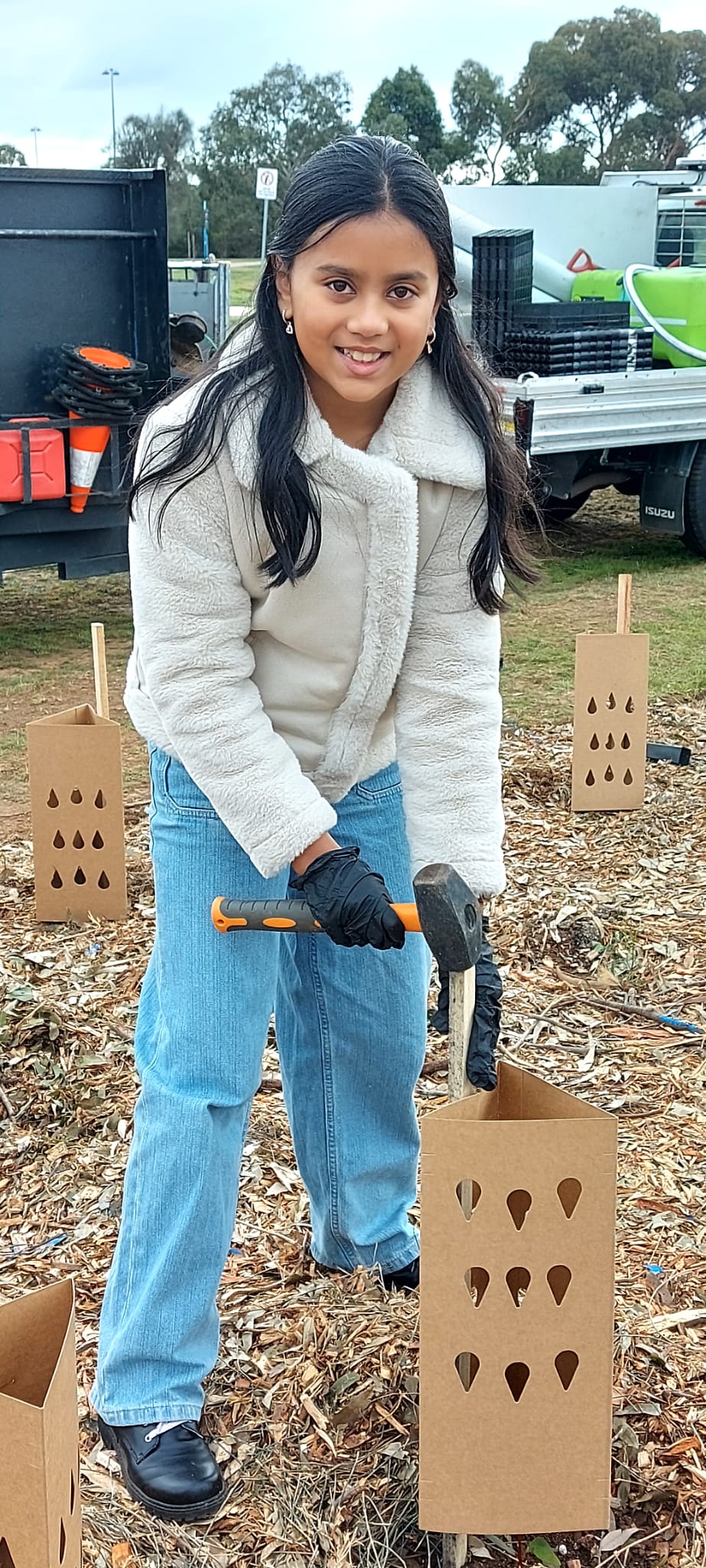 Tree Plantation 2026 photo